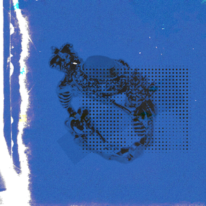 妓女影院永久免费
